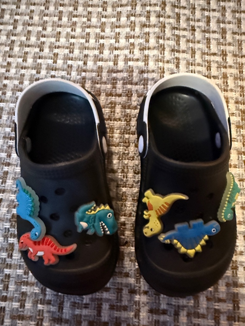 Kids Black Slip-On Sandals with Colorful Dinosaur Charms